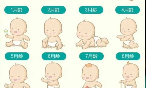 绿梅花什么时候开花-绿梅花的价格行情网 - 网站提供绿梅花多少钱一斤小常识、绿梅价格及图片