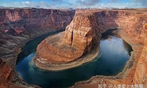 绿梅价格及图片-绿梅花的价格行情网 - 网站提供绿梅花多少钱一斤小常识、绿梅价格及图片