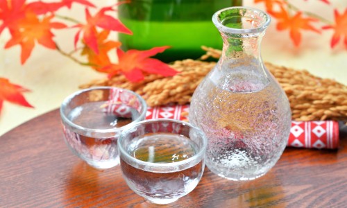 绿梅花的价格行情怎么样-绿梅花的价格行情网 - 网站提供绿梅花多少钱一斤小常识、绿梅价格及图片