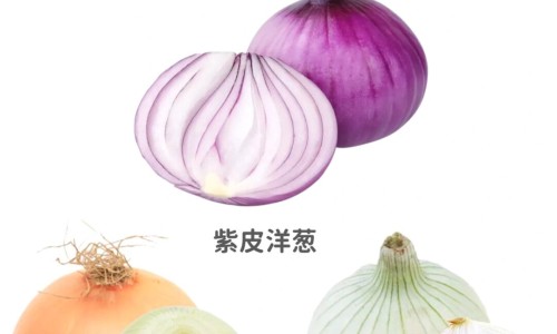 绿梅价格及图片-绿梅花的价格行情网 - 网站提供绿梅花多少钱一斤小常识、绿梅价格及图片