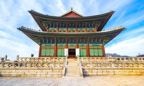 绿梅价格及图片-绿梅花的价格行情网 - 网站提供绿梅花多少钱一斤小常识、绿梅价格及图片